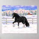 Search for draft horse Gypsy vanner