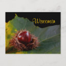 Search for autumn leaf postcards Leaves