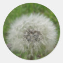 Search for wish stickers White