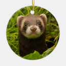 Search for ferret christmas tree decorations Cute