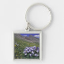 Search for blue wildflower key rings Colourful
