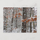 Search for snowing postcards Trees