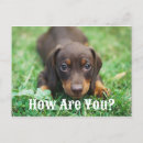 Search for how to postcards Cute