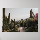 Search for cacti posters Nature