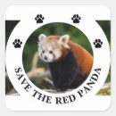 Search for red panda stickers Wildlife