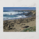 Search for simeon postcards Beach