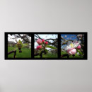 Search for orchard posters Floral