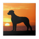 Search for ridgeback Silhouette
