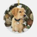 Search for golden retriever christmas decor Labrador