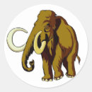 Search for sabertooth Mammoth