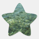 Search for water star stickers Sea