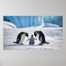 Search for penguin family posters Winter