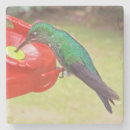 Search for bird watcher barware Birds