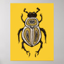 Search for entomology posters Insect