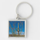 Search for saguaro key rings Tucson