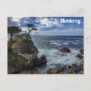 Search for lonely tree postcards Beach