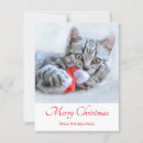 Search for santa paws christmas cards Kitty