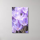 Search for crocus art Garden