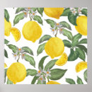 Search for vintage lemon posters Watercolor