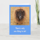 Search for big get well cards Funny
