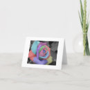 Search for rainbow rose cards Roses