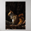 Search for red squirrel art Brown