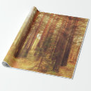 Search for rays wrapping paper Background