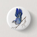 Search for jay badges Nature