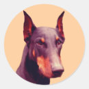 Search for doberman dog stickers Pinscher