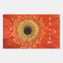 Search for big yellow flower stickers Flora