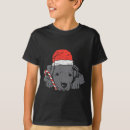 Search for pitbull kids tshirts Santa