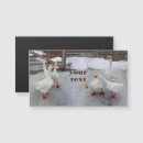 Search for geese christmas cards Snow