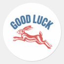 Search for rabbit stickers Hare