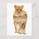 Search for double postcards Animal