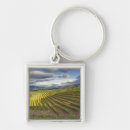 Search for vineyard key rings Napa valley