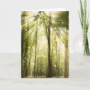 Search for sunrays cards Forest