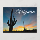Search for scottsdale arizona postcards Sunset