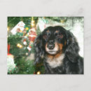 Search for vintage dachshund christmas cards Pet