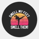 Search for martial arts girl stickers Daniel larusso