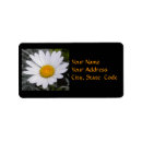 Search for orange daisy return address labels Floral