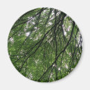 Search for branche magnets Woodland
