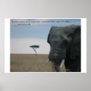 Search for created posters Bible