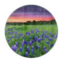 Search for bluebonnet kitchen dining Rural scene