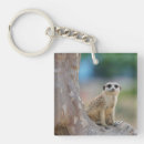 Search for cute meerkat key rings Alert