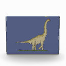 Search for brachiosaurus Sauropod