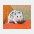 Search for hamster blankets Cute