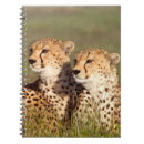 Search for conservation notebooks Animal