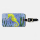 Search for aquarium accessories Watercolor