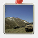 Search for objection christmas tree decorations Photography