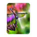 Search for realistic magnets Nature